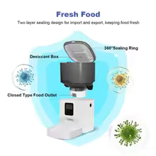 Automatic timed cat feeder