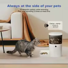 Automatic timed cat feeder