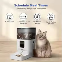 Automatic timed cat feeder